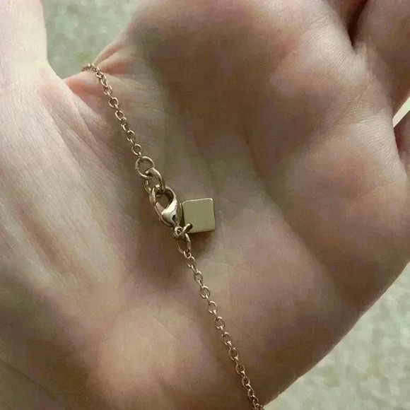 Banana Republic long charm necklace. - Picture 7 of 15